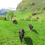Tuftegarden Hotel *