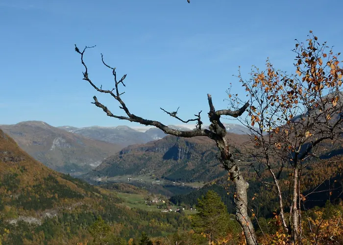 Tuftegarden מלון