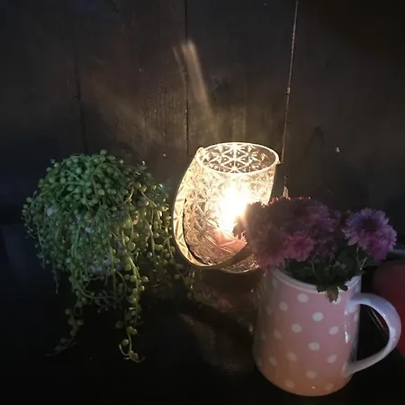 Tuftegarden *